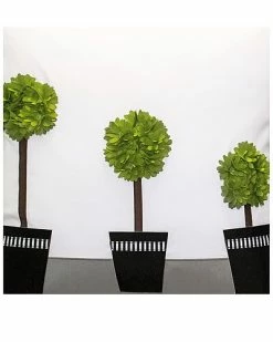 Edie Home Set Of 2 Indoor/Outdoor Modern Dimensional Topiary Decorative Pillows -Cheap Edie Home Store 3030966198 RLLD 3